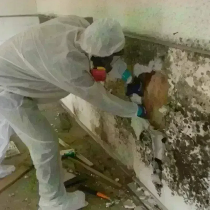 Mold Remediation and Removal in Quinnesec, MI