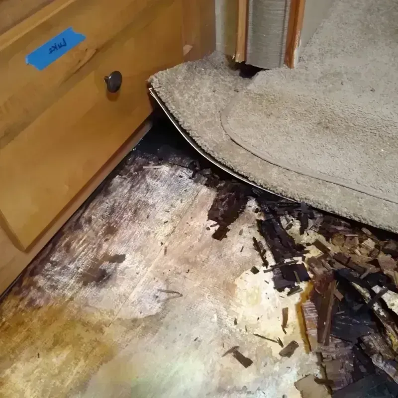 Wood Floor Water Damage in Quinnesec, MI